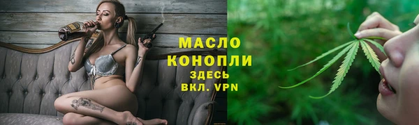дмт Богданович
