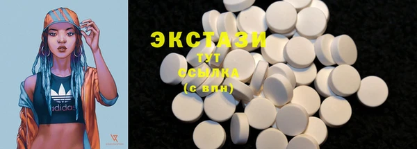 дмт Богданович
