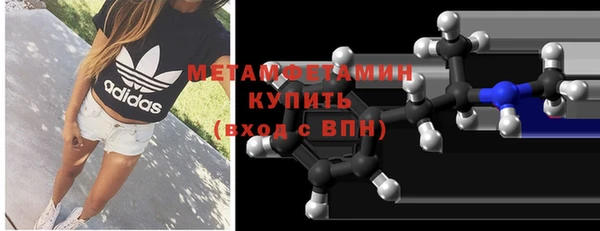 дмт Богданович