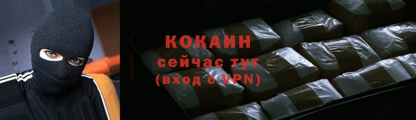 дмт Богданович