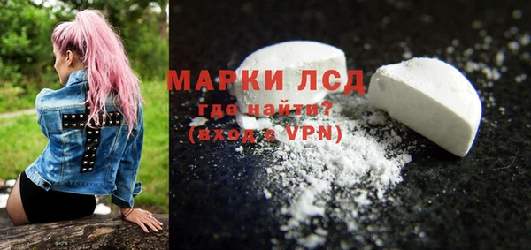 шишки Богородицк