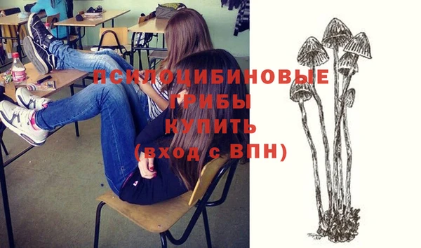 шишки Богородицк