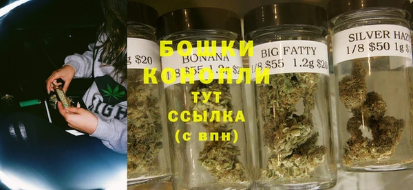 шишки Богородицк