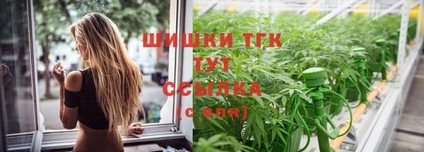 дмт Лагань