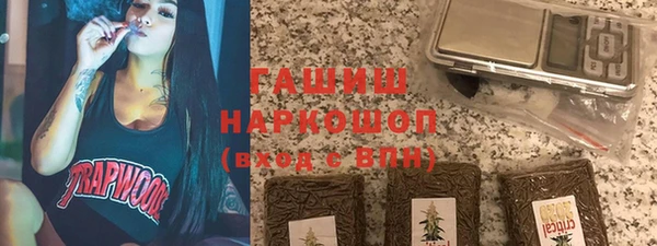 дмт Богданович