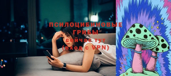 стаф Беломорск