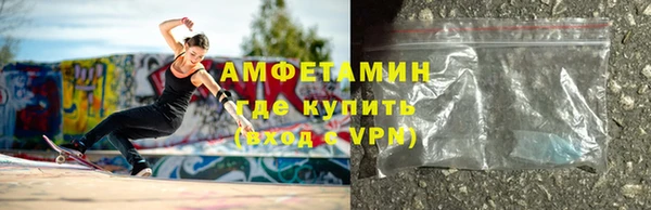 дмт Богданович